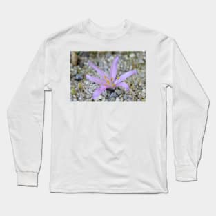 Bulbocodium vernum  Spring meadow saffron Long Sleeve T-Shirt